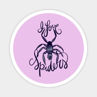 I Love Spiders Magnet